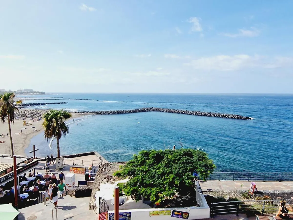 Fantastic 2 Bedrooms, Just 20 Meters From Ocean contacts